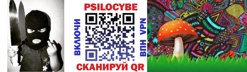 Галлюциногенные грибы Psilocybine cubensis Ревда